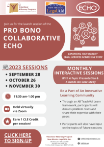 VAP Pro Bono Collaborative ECHO_Website Flyer